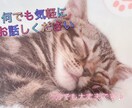 お話し何でも聞きます 相談、お悩み、愚痴etc…心の拠り所になれたらと思います。 イメージ1