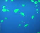宇宙的「超！軽く生きよう」　シェアします 継続版です。2回目以降はこちらからどうぞ。 イメージ2