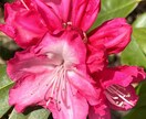 写真を合成・画像を重ねます 画像の編集、合成などを主にやっております。 イメージ1