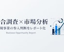 競合・市場調査レポートを作成します 新規事業のGO/NO-GO判断まで分析します イメージ1