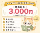 データクリーニング・名寄せ・突合を代行します 3,000円〜/重複削除・表記統一/処理ログ付き納品 イメージ5