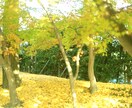 風景、観光地、メニューなどを撮影しいます 撮影場所に行った気持ちになろう イメージ2