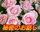 誰にも言えない秘密のお話しをお聞きします どのような内容でも大丈夫！安心してお話しください。 イメージ1