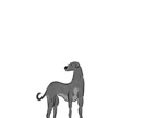 商用OK◎シンプルな動物やペットのイラスト描きます 親しみやすく可愛い1枚！アイコン、グッズなどご利用できます イメージ9