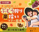 2,000円でWEB画像作ります ２回まで修正無料で丁寧に作業いたします！複数割引あり！ イメージ2
