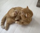 暇つぶし相手にチャットいたします 誰かと話したい、何か話したい、隙間時間潰したい等 イメージ5