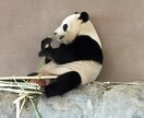 1名様限定価格1ヶ月ハッピーに生きるヒント届けます ✨チャネリング・霊視透視・霊感・霊聴・スピリチュアルを翻訳 イメージ1