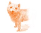 愛犬の似顔絵デッサンします 愛犬の似顔絵デッサンします！プレゼントや記念に飾ってみては イメージ4