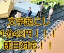 激安1分45円！！動画・音声の文字起こし承ります 【安い！早い！丁寧！そして要望に最大限応えます！】 イメージ1