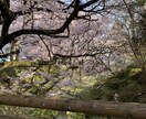 貴方の悩み紳士に受け止めます 千里の道も一歩から。貴方がこの地に生まれたことが第一の奇跡 イメージ1