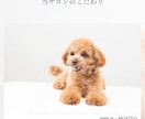 動物病院｜ペットサロン専門LP制作します 信頼され、選ばれ続けるペットサロンへ イメージ5