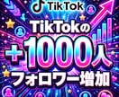 TikTokの海外フォロワー1000人〜増加します ティックトック/TikTok/海外フォロワー増加/認知度up イメージ1