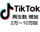 TikTokの再生数2万回増加させます 振り分けも可能 再生回数増加　いいねオプションあり イメージ1