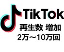 TikTokの再生数2万回増加させます 振り分けも可能 再生回数増加　いいねオプションあり イメージ1