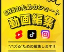 バズるためのショート動画の編集をします インスタ万垢の編集者によるテンポ良い編集です イメージ1