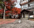 お話をお伺いします いろんな心のモヤモヤの整理をお手伝いします！ イメージ1