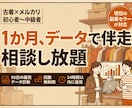 副業古着メルカリを1か月データで伴走サポートします 販売データを見ながら1か月相談し放題。現役副業セラーが伴走 イメージ1