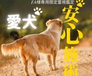 FA様専用|愛犬の安心・安全に特化した施術します 海外転勤に伴う移動・環境変化から愛犬ちゃんを守るため イメージ1