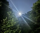 1%でも可能性ががあれば望みは叶います 未来を視ることが得意です。視えたままをお伝えいたします。 イメージ1