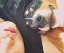 1分からお話し聞きます ★14年間お話しを聞く仕事をしてきました。一人で抱えないで。 イメージ3