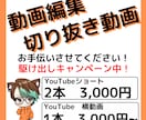 動画編集承ります 切り抜き動画、お任せください！ イメージ1