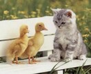 お試し☆アラサー女子とお話し☆1日なんでも聞きます 恋愛相談/愚痴/育児/励まし/家計相談/話し相手等なんでも イメージ1