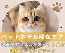 ペットの不安軽減☆ホテル滞在を大天使が守護します ★大天使アリエル★ペットへの遠隔ヒーリングとプロテクション イメージ1