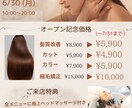 美容系、医療系のチラシを制作します これからオープンされる方や、安くチラシを制作したい方！ イメージ1