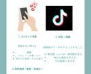 TikTokの運用代行をします バズらせるのは運じゃない。設計です。私に任せてください。 イメージ1