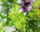 心の浄化⁺⊹˚.⋆　心を軽くします ただ話す。私はただ、聴くだけです( ´˘` ) イメージ4