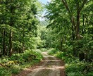 運命鑑定 流れが止まる本当の理由を霊視します 真実を知った瞬間、繰り返しは終わります。 イメージ5