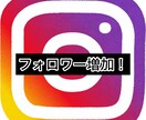インスタのフォロワー400人増やします インスタグラム宣伝・運営で＋400人目指します イメージ1