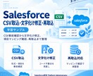 SalesforceのCSV取込を支援します CSV取込やデータ整備を丁寧に支援します イメージ1