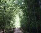 誰かに話を聞いて欲しい…いつでもお話相手になります ☀️たまにはお酒を飲みながら語り合いませんか(^-^) イメージ2