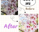 画像の明るさや背景の変更を行います 明るいふんわりした雰囲気の画像編集をお求めの方へ イメージ1