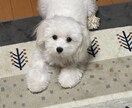 とにかく誰かと話したい時、お付き合いします 5分から、気が済むまで話してくれてイイですよ(^ ^) イメージ5