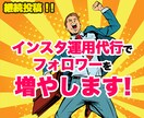 貴方のフォロワーとお問い合わせを上げて見せます インスタ運用代行　定期配信　画像編集　確かな顧客　信頼構築 イメージ1