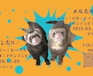 我が子(ペット)の名刺を作ります 我が子名刺(犬猫鳥ハム等)をお作りします！ イメージ3