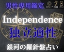 男性専用占い｜人生を好転させる才能を分析します あなたの才能発掘！｜西洋占星術×数秘術×タロットの融合占術 イメージ2