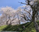世間話から愚痴まで待っています 楽しかった、悲しかった、そんな時は聞かせてください(^-^) イメージ1