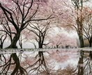 Lightroomプリセット販売します 四季を感じる美しい彩り｜インスタ映え＆世界観を演出したい方へ イメージ1