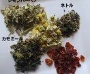 たった5種のハーブだけで作る実践ブレンド提案します 不調に振り回されない毎日を送れるレシピ５種のお試しハーブ付き イメージ2