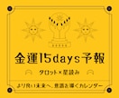金運15days予報【タロット×占星術】で視ます ▶︎約7,500文字▶︎海外でも主流のリーディング方法を採用 イメージ1