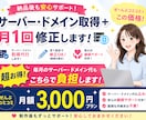 納品後も安心サーバードメイン管理＋月1回修正します サーバー・ドメイン・修正ぜんぶコミコミ月額3,000円 イメージ1