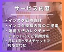 プロが売上に繋がるインスタ運用コンサルをします フォロワーを増やすのが目的ではなく、売上と利益率の最大化！ イメージ2