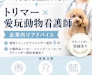 ペット商品商品・サービス開発・改善アドバイスします トリマー兼看護師目線で、ペット向けサービスを設計・改善します イメージ1