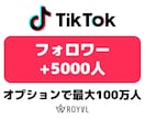 TikTokフォロワーを5000人増やします ⭐複数アカウントに振り分け可能・格安・高速・外国人⭐ イメージ1