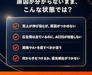 1ヶ月伴走でAmazon運営をサポートしますます 30ブランド・300商品の現役が、改善を最後まで伴走 イメージ2