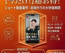 プロ品質のショート動画を丸ごと制作します 1万フォロワー運用実績｜多ジャンル対応｜修正5回 イメージ3