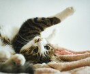 あなたのお話をゆっくりと聞かせていただきます アドバイスはしないでお話をじっくりとお伺いしますね。 イメージ10
